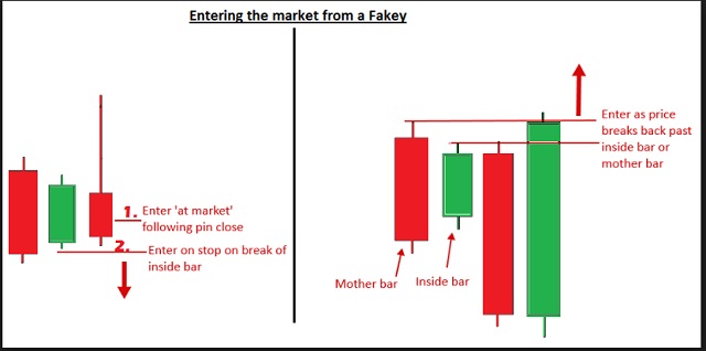 Mẫu nến Fakey