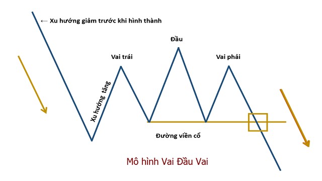 Giá sẽ bắt đầu tăng lên từ phần thấp của đầu và tạo thành vai phải trong mô hình 