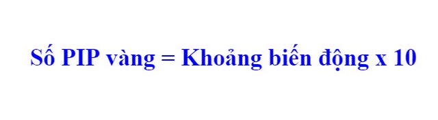 Ảnh 4: Cách tính PIP vàng trong giao dịch Forex 