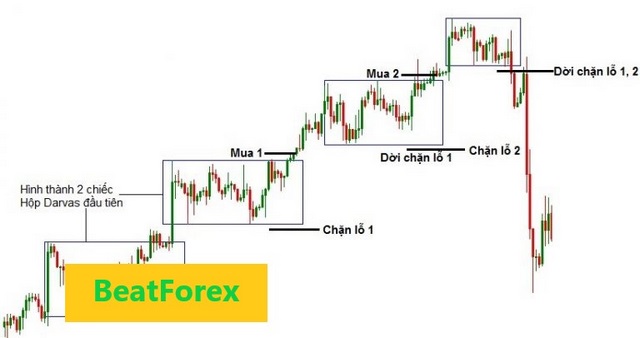 Ảnh 8: Mô tả cách đặt lệnh mua và lệnh cắt lỗ dựa vào hộp Darvas 