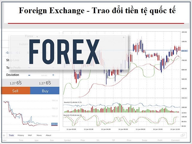 Tham gia vào thị trường Forex tuyệt đối không giao dịch kiểu trả thù