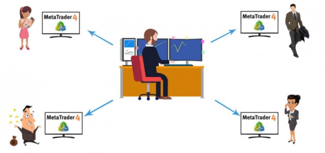 Dùng copy trading, nhà giao dịch 3 không ngày càng tiến bộ nhờ có cơ hội học hỏi kinh nghiệm từ những master trader giỏi nhất